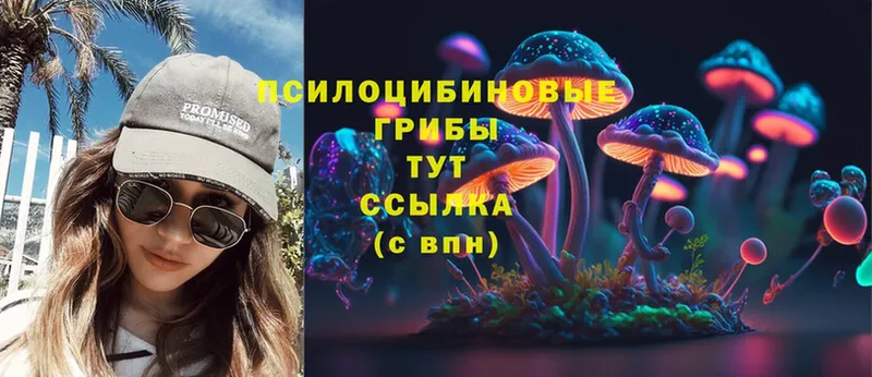 Псилоцибиновые грибы Psilocybe  Бабушкин 